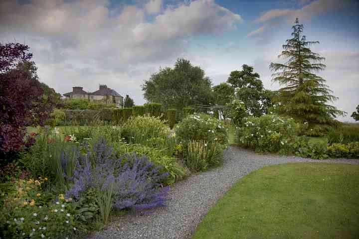 Wendy Walsh border