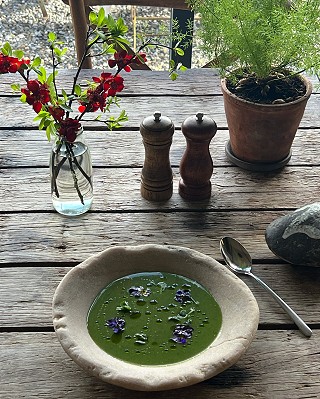 Wild Garlic Soup