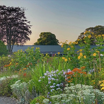 Autum Border in the Kitchen Garden
