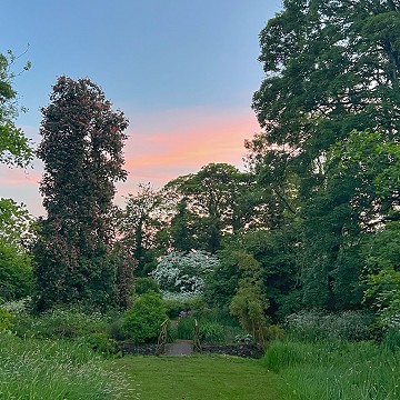 The Nutgove Island Garden
