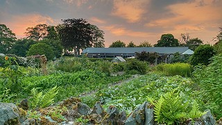 The Walled Kitchen Garden