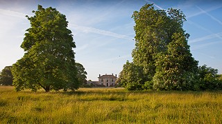 Burtown House