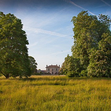 The Studio Apartment