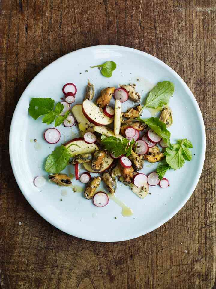 Oyster, Apple, Radish