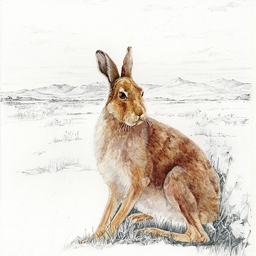 The Irish Hare by Wendy Walsh
