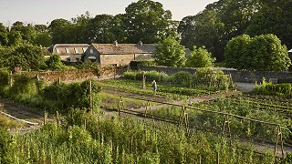 The Walled Kitchen Garden
