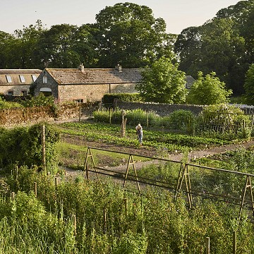 The Walled Kitchen Garden