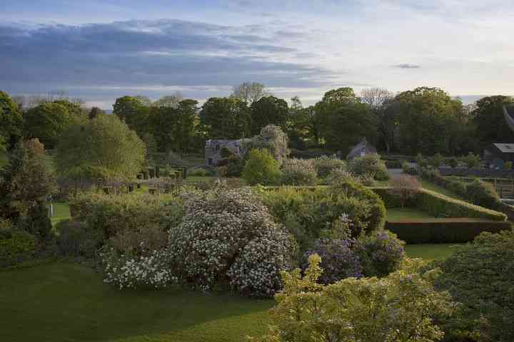 Garden birds eye