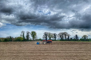 Old Tractor