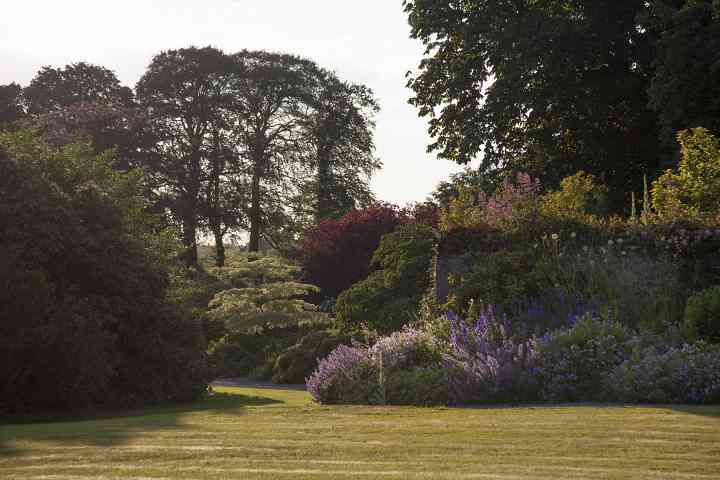 Summer border