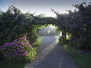 Burtown House and Gardens, Athy, Co. Kildare