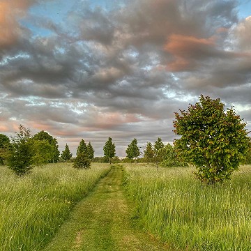 Farm Walks