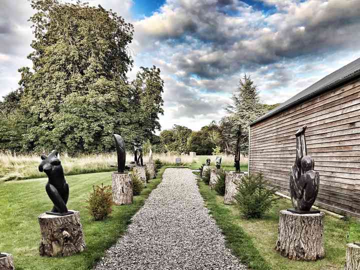 Birdwoods exhibition