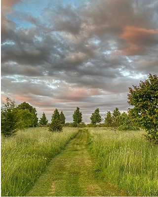 Farm Walk