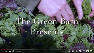 The Green Barn and The Spicy Leaf